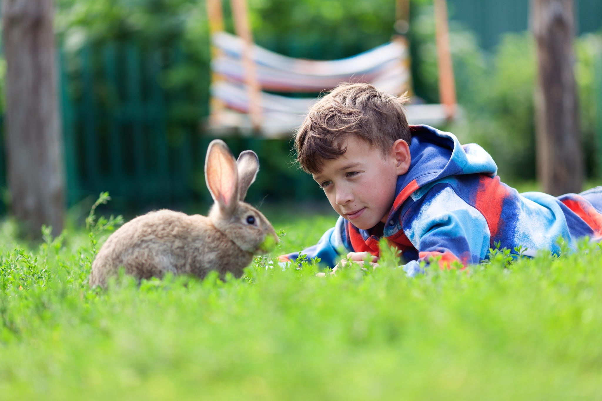 Rainbow Ridge Farm Summer Day Camp