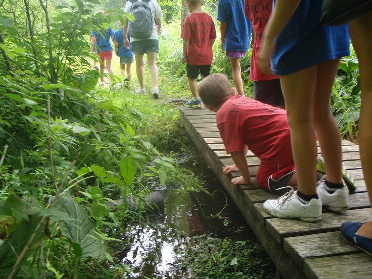 Room To Grow Day Camp photo 1