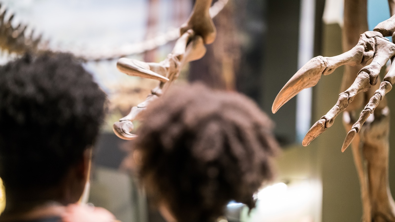 Keystone Adventure School & Farm photo 1