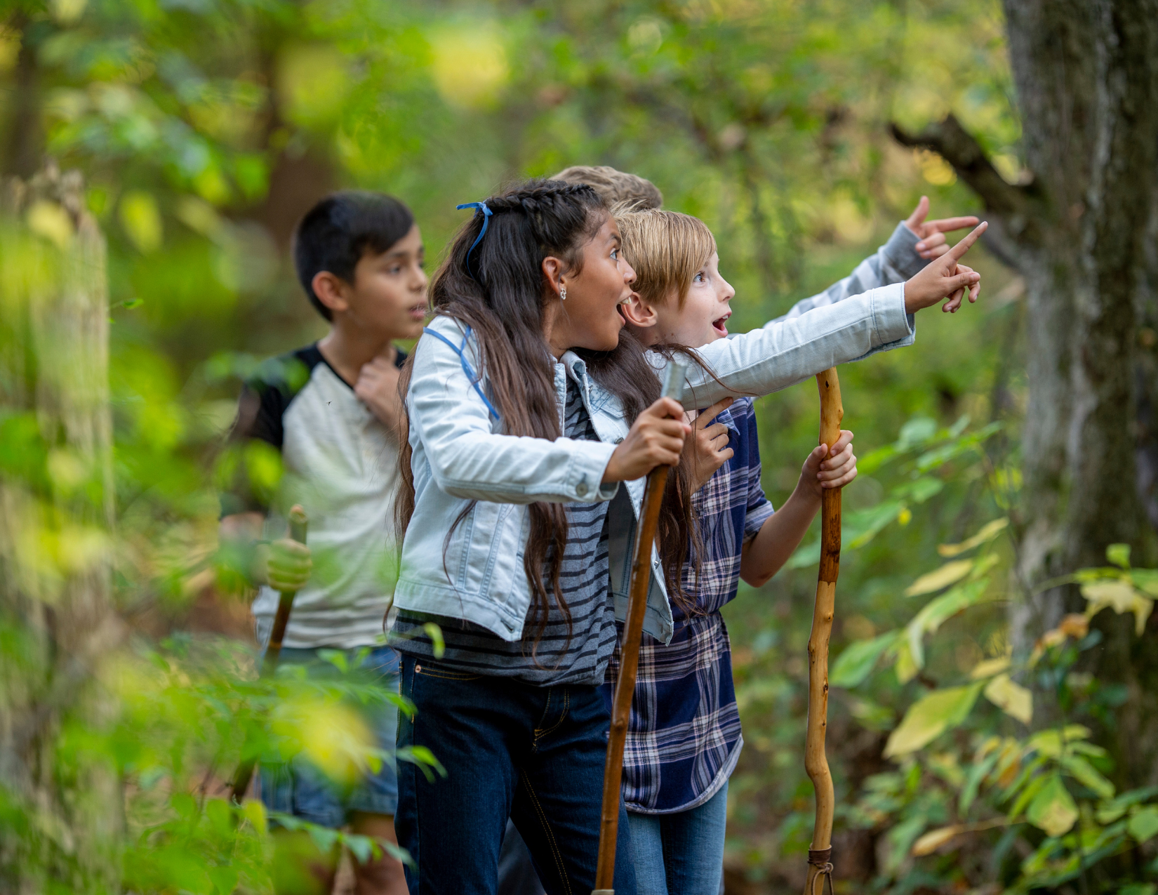 Science Adventures - Vasona Lake Park photo 1