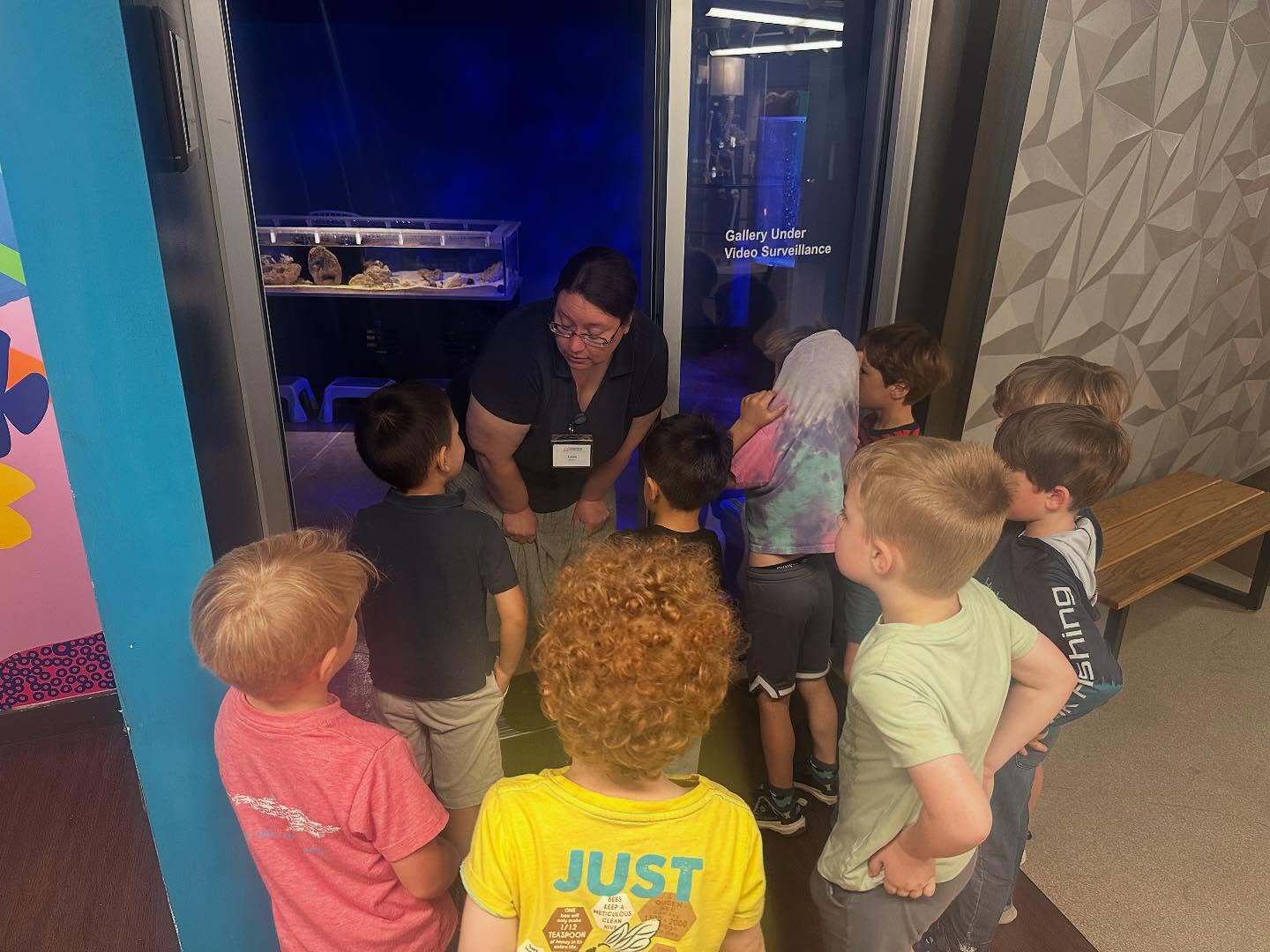 Science Museum Of Western Virginia Camp photo 1