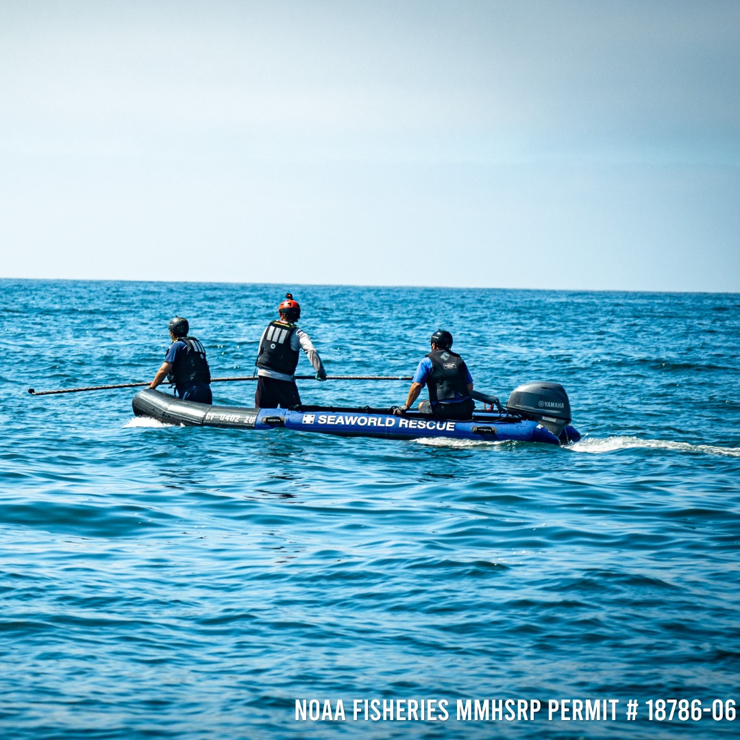 Camp Live Oak photo 1