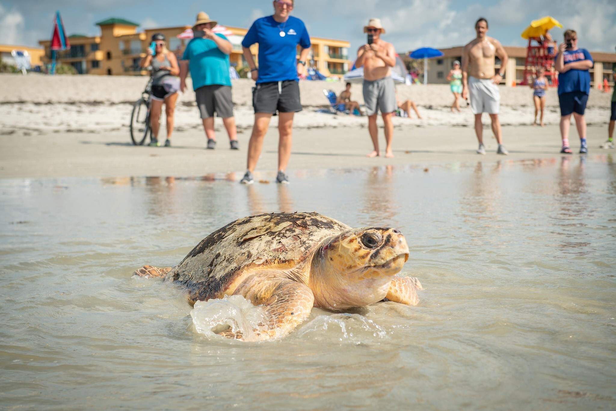 SeaWorld Adventure Camps Orlando