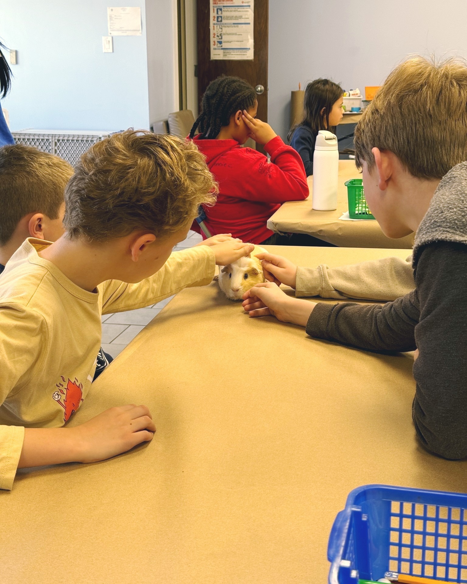 St. Huberts Kids Critter Camp photo 1