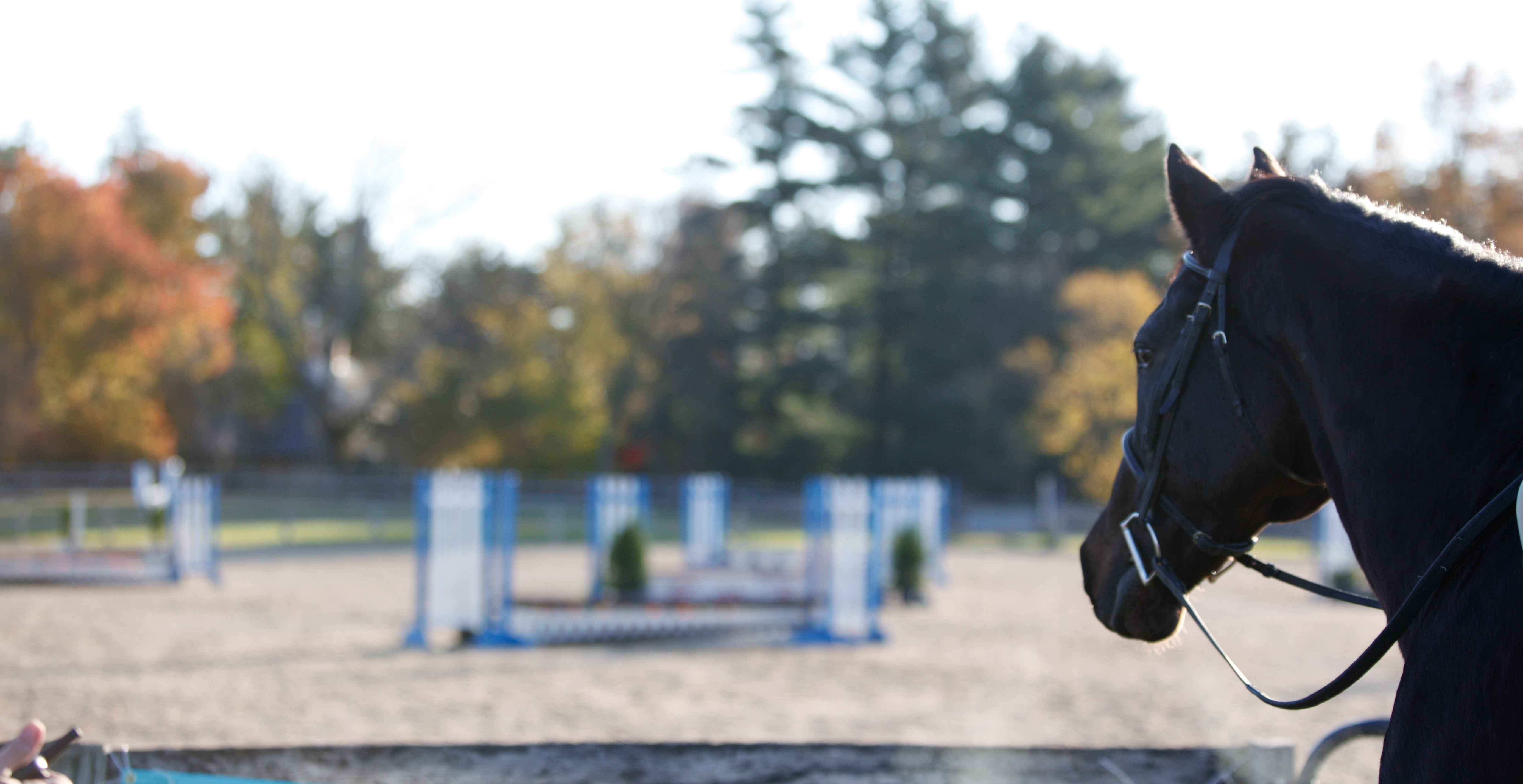 St Timothys Summer Riding Camp