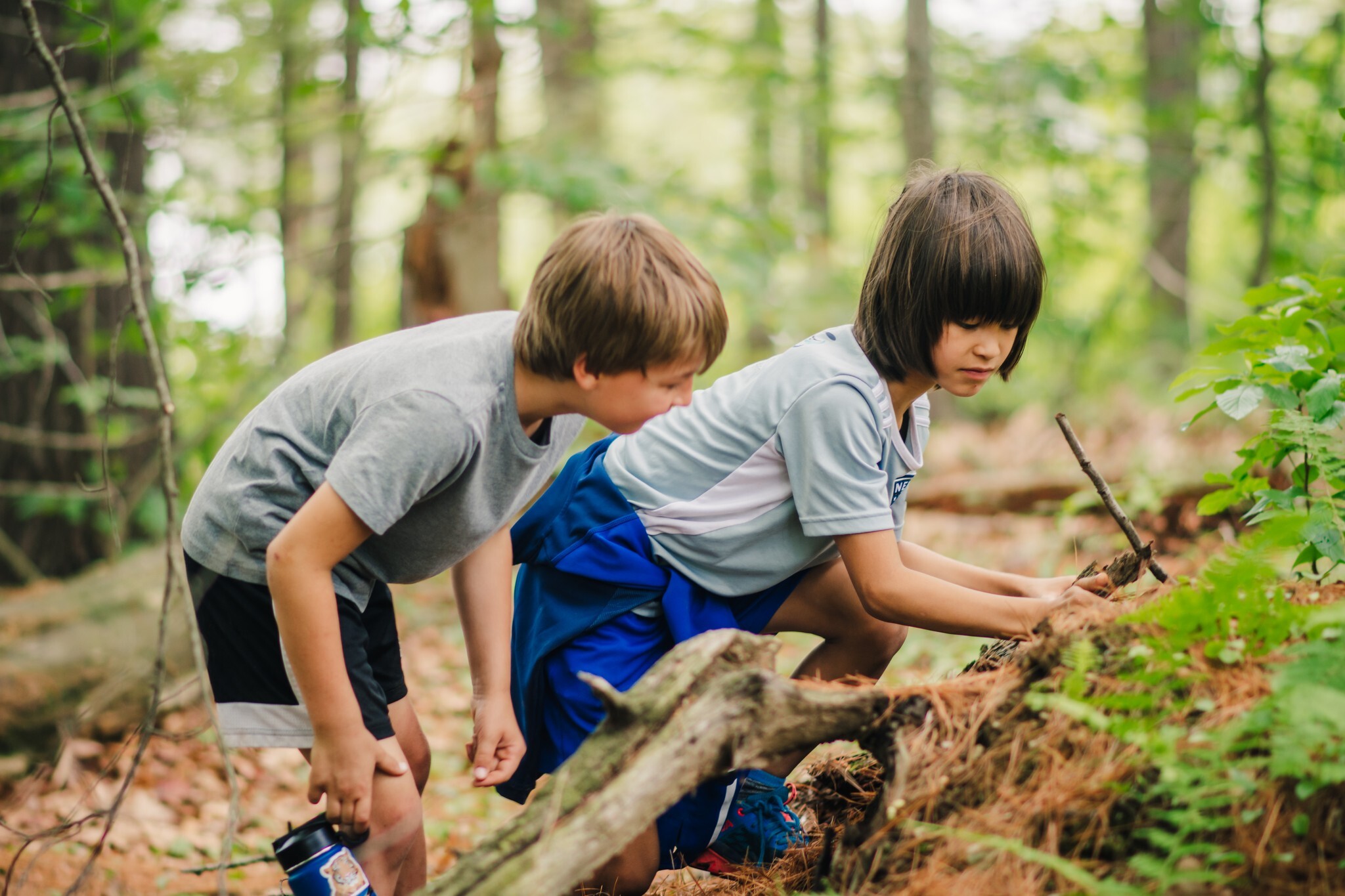 Stony Brook Natural History Day Camp