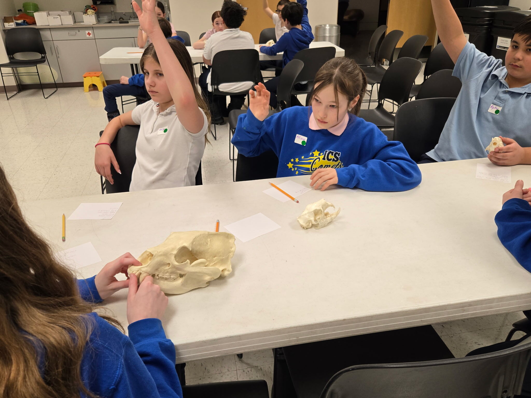 Bold Earth Teen Adventures - Alaska photo 1