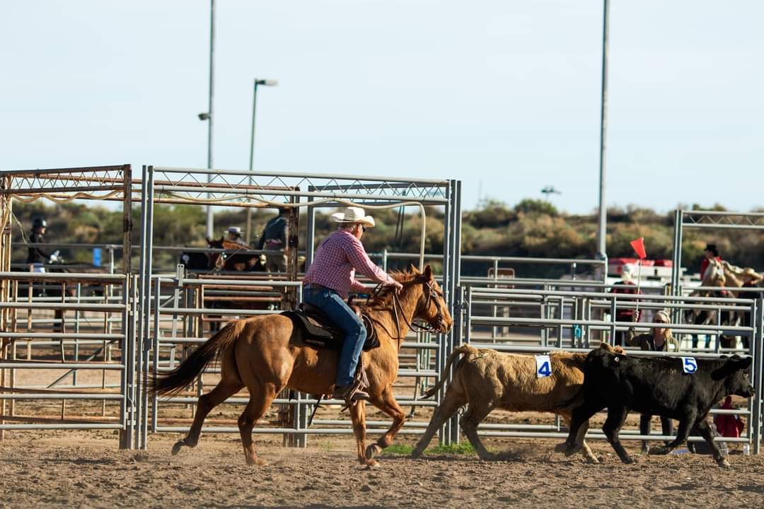 Payson Summer Horse Camp photo 1