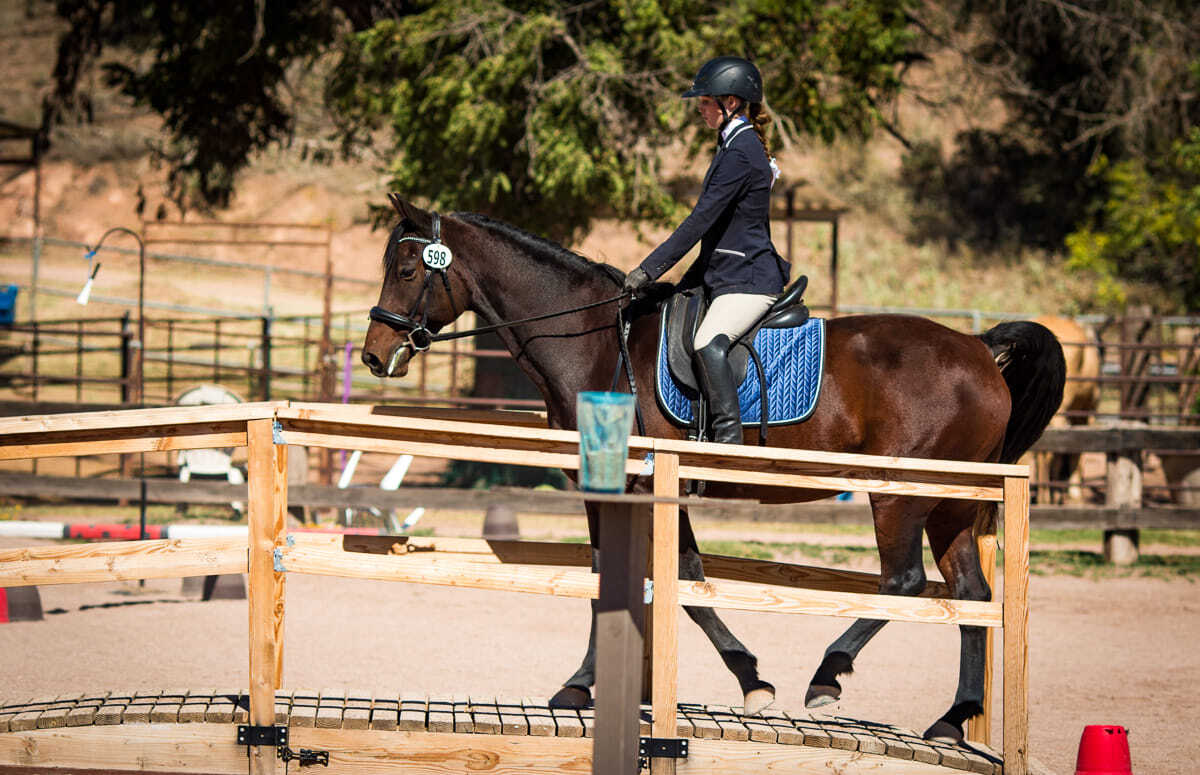 Payson Summer Horse Camp