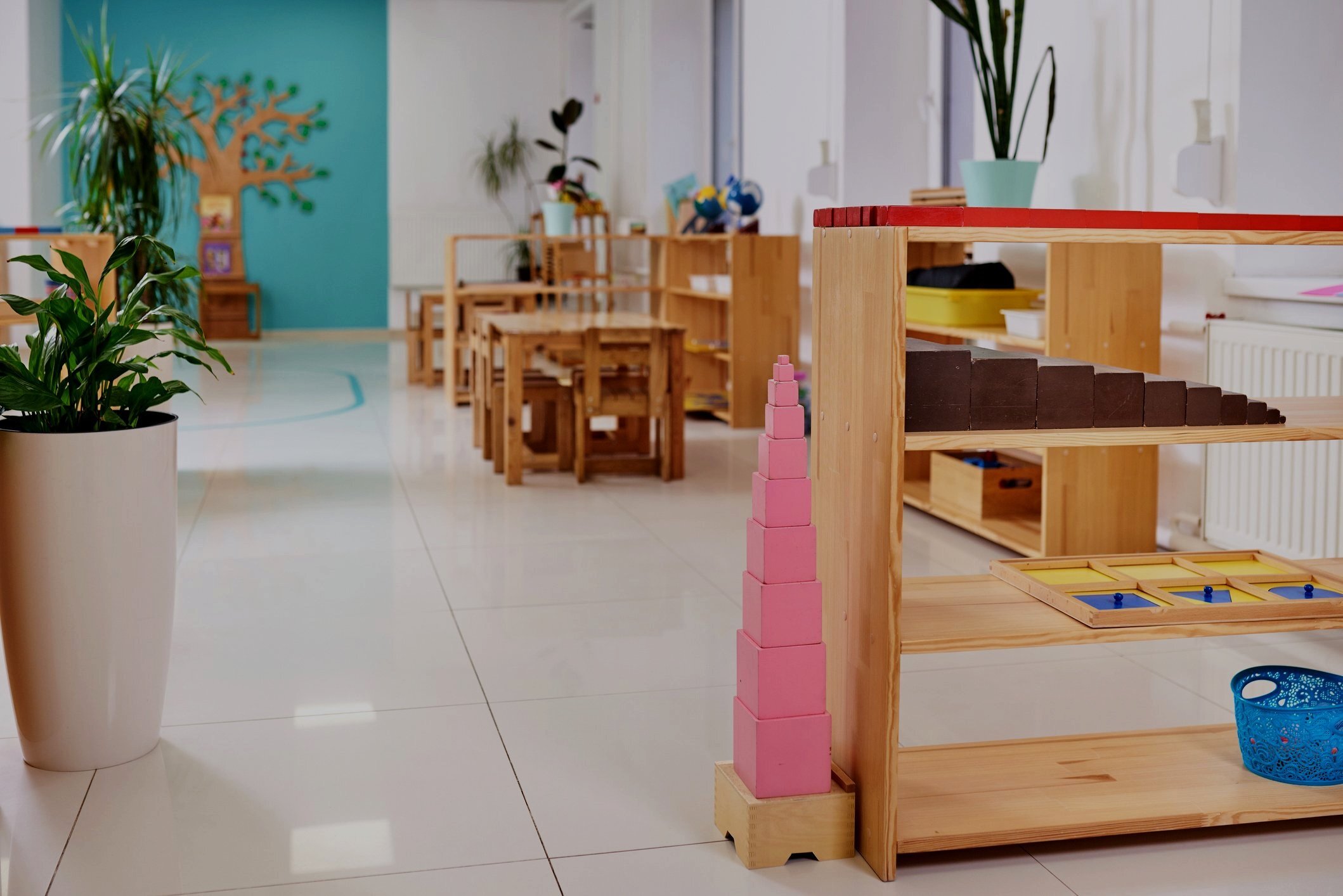 Tempe Montessori School photo 1