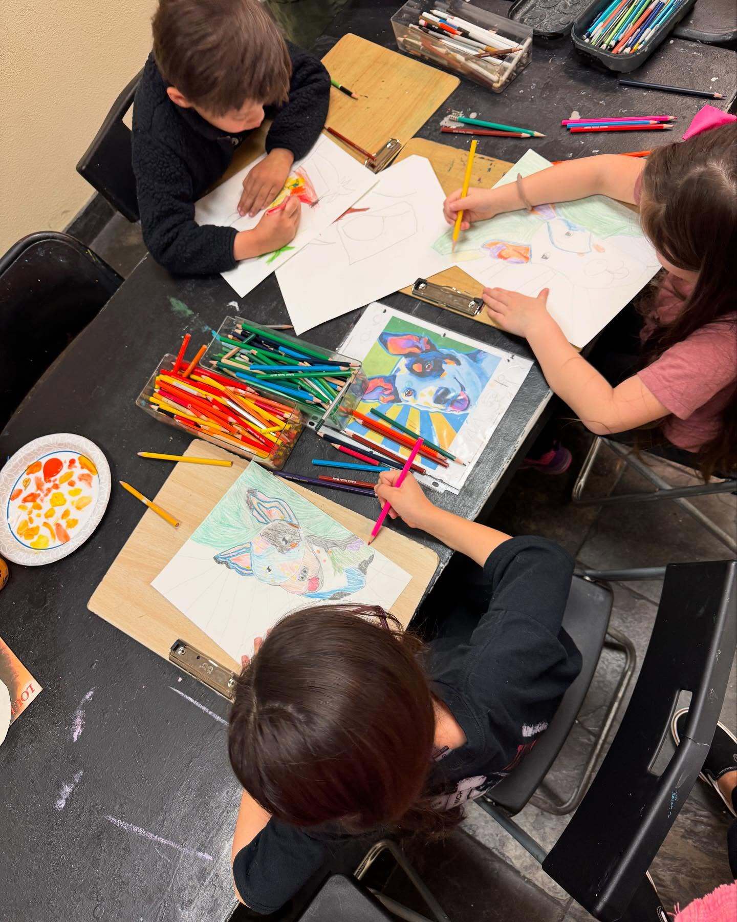 Camp Cartwheel photo 1