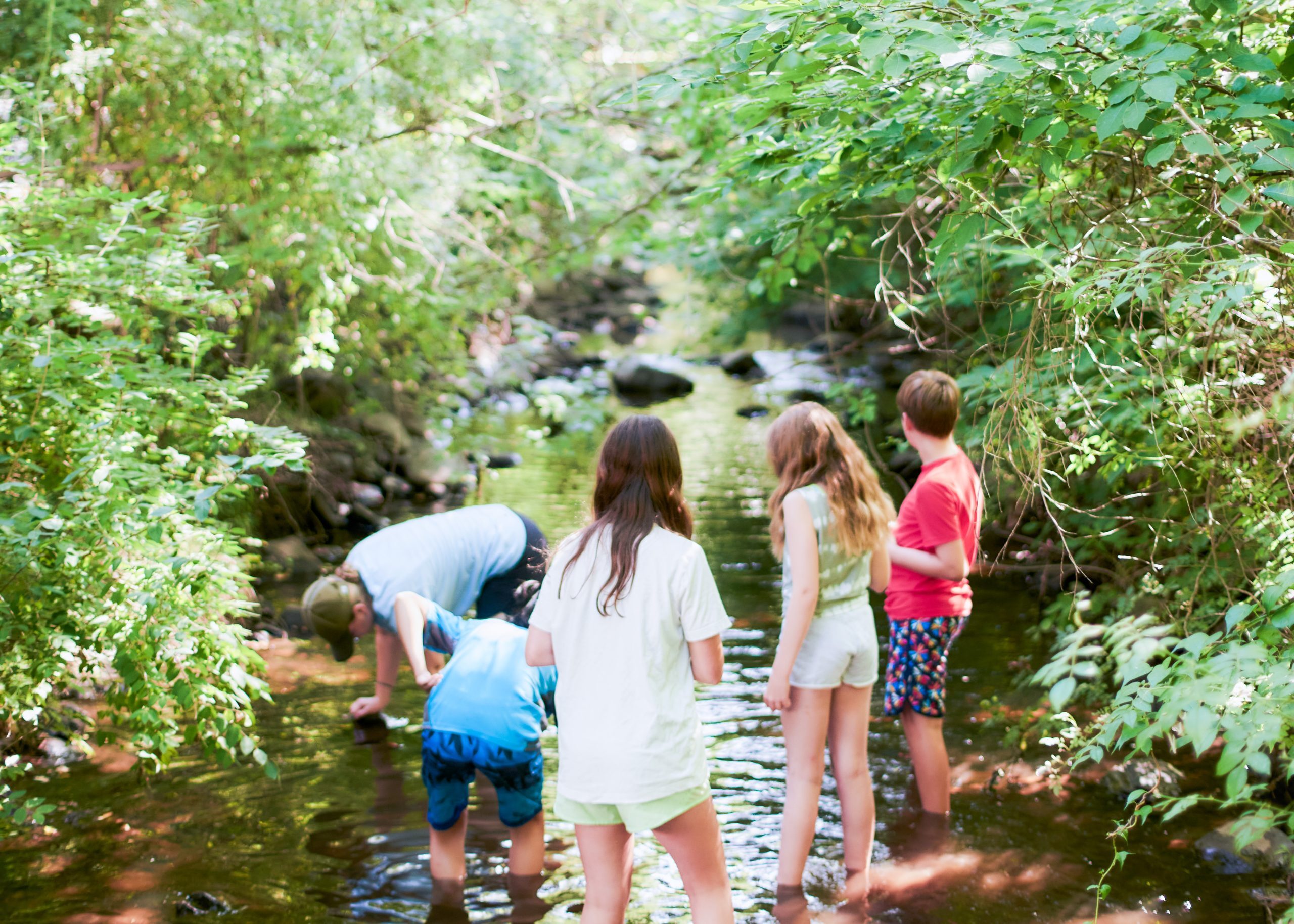 The Nature Place Day Camp photo 1