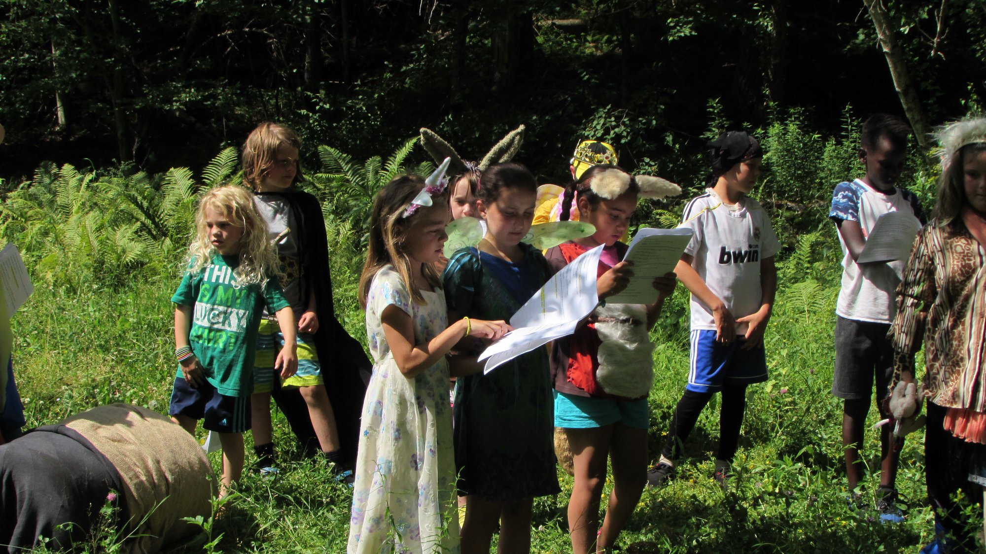 Theater In The Woods Camp