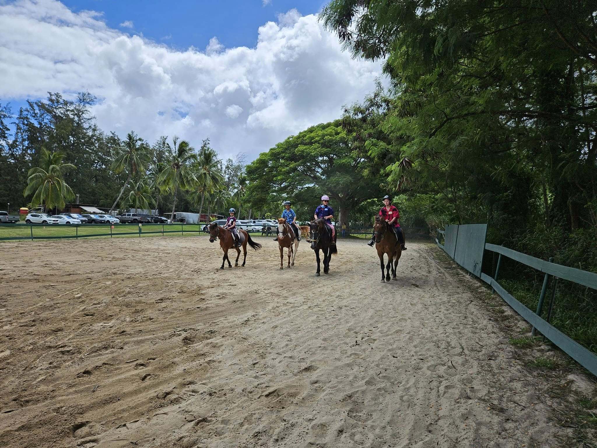 Therapeutic Horsemanship Of Hawaii Horse Camp photo 1