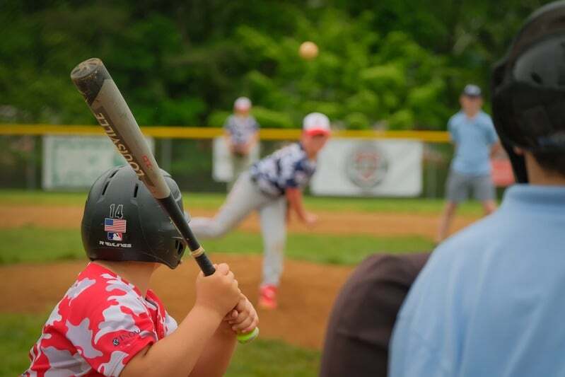 Tiger Baseball Camp photo 1