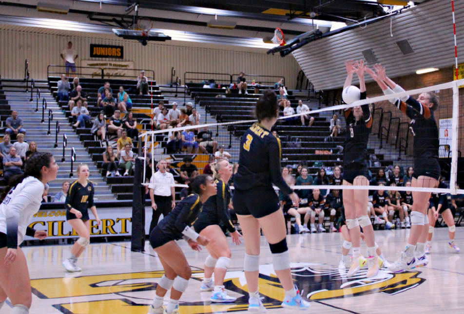 Tiger Volleyball Camp photo 1