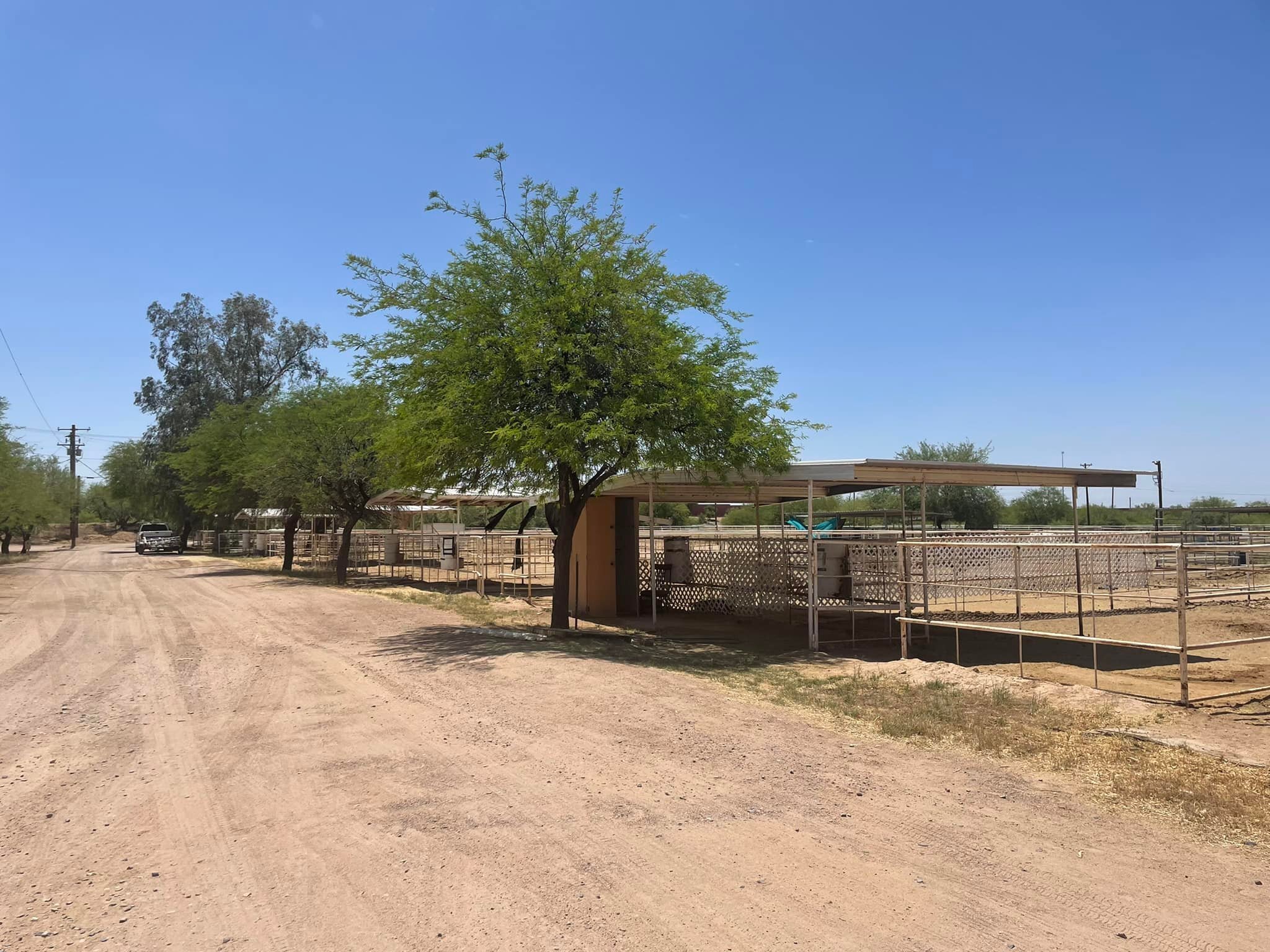 Tyler Farms Summer Horse Camp photo 1