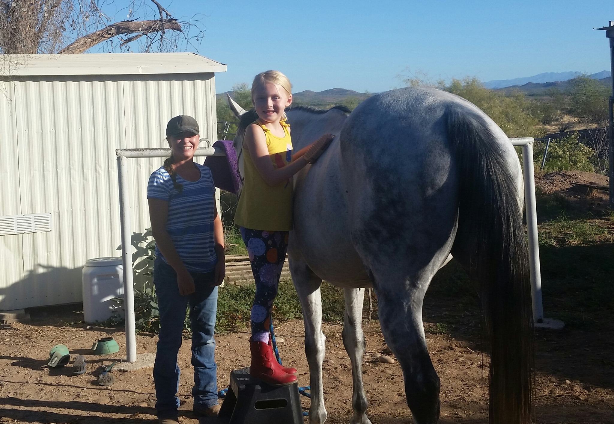 Tyler Farms Summer Horse Camp