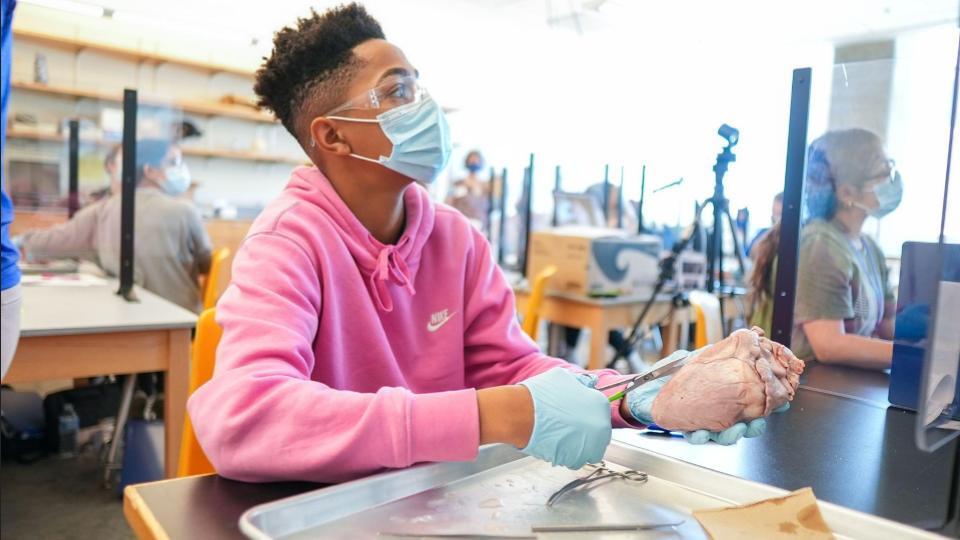 UNC Asheville Pre-College Programs photo 1