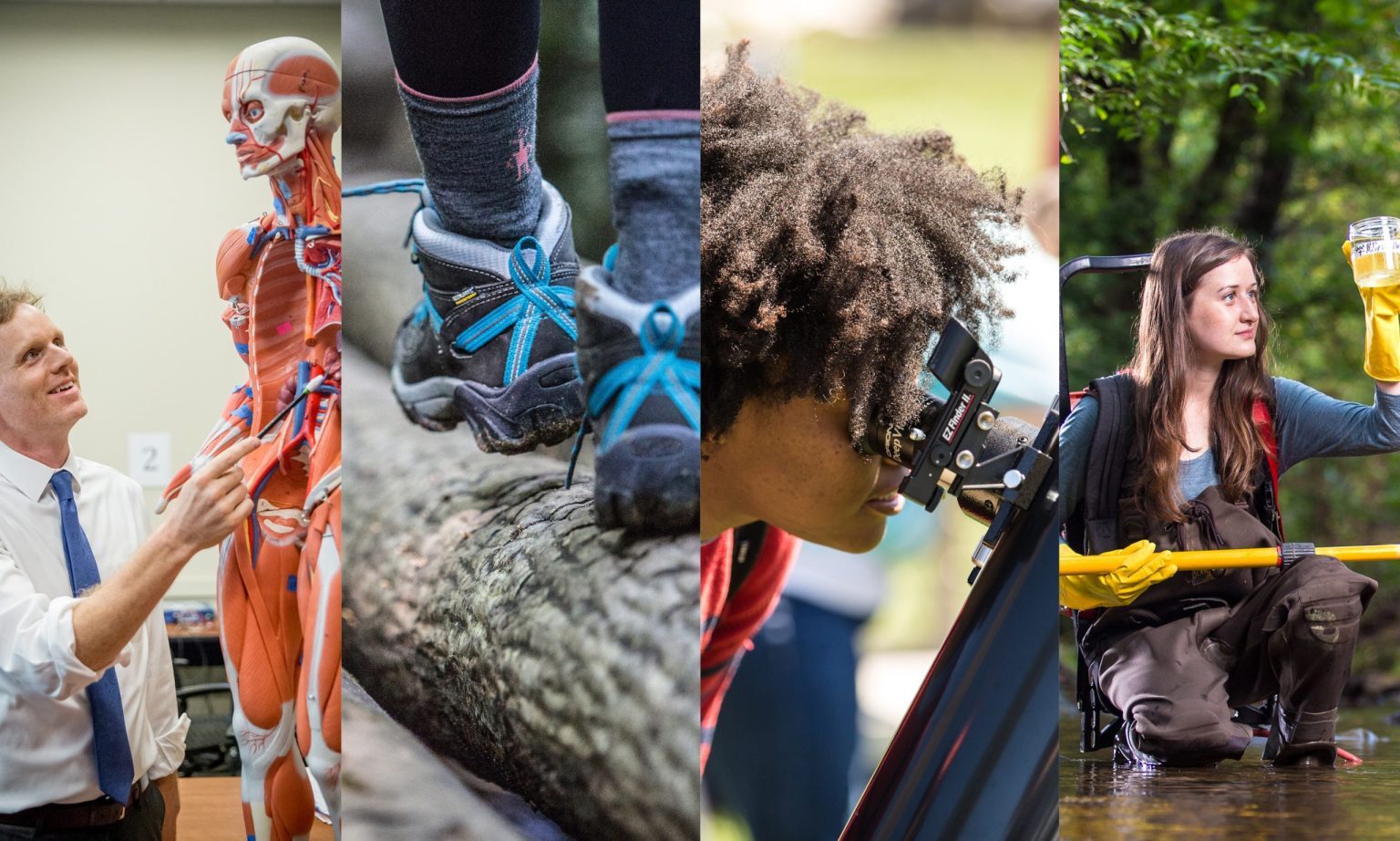 UNC Asheville Pre-College Programs