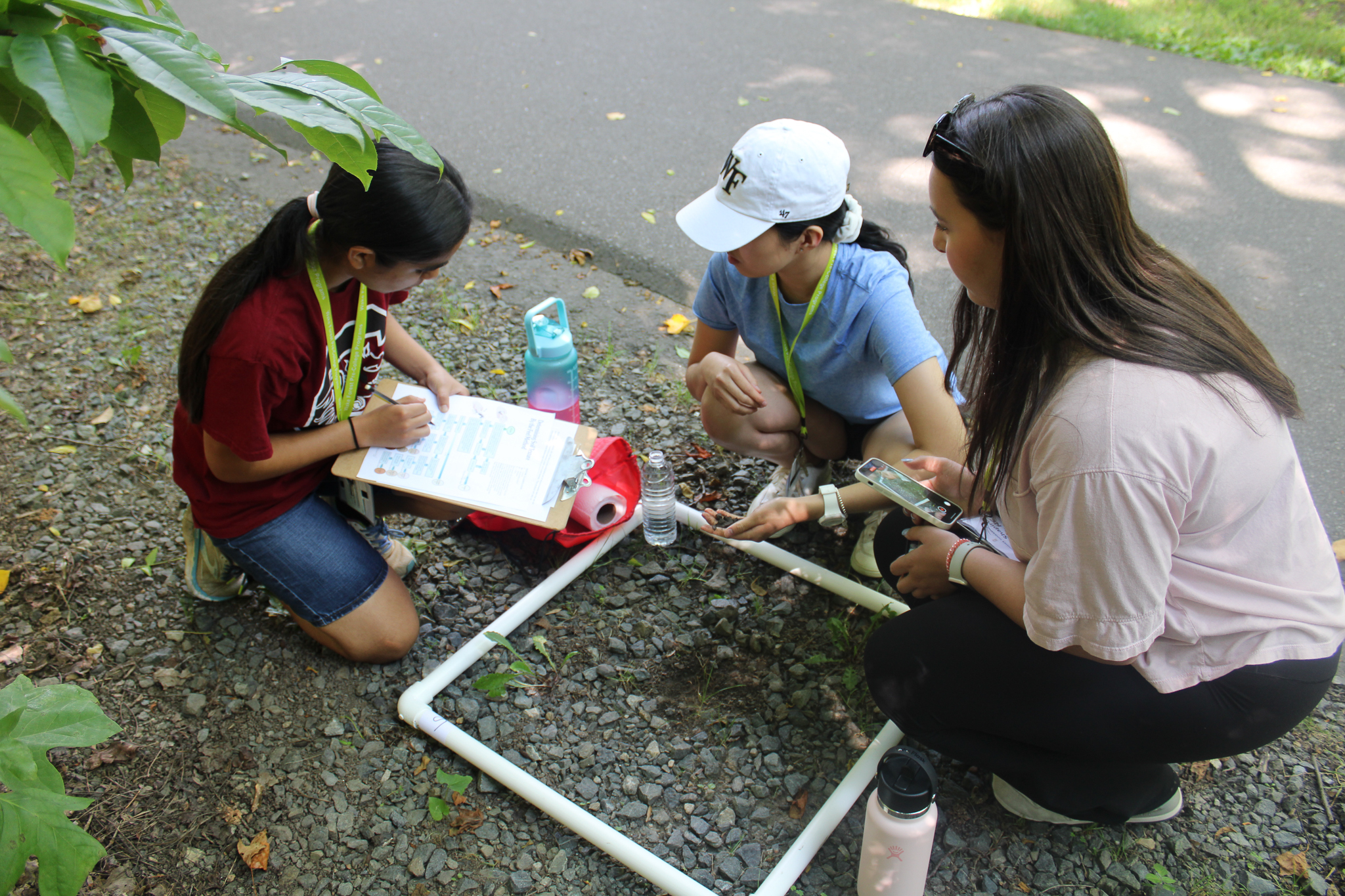 Wake Forest Summer Immersion: Bioscience Institute