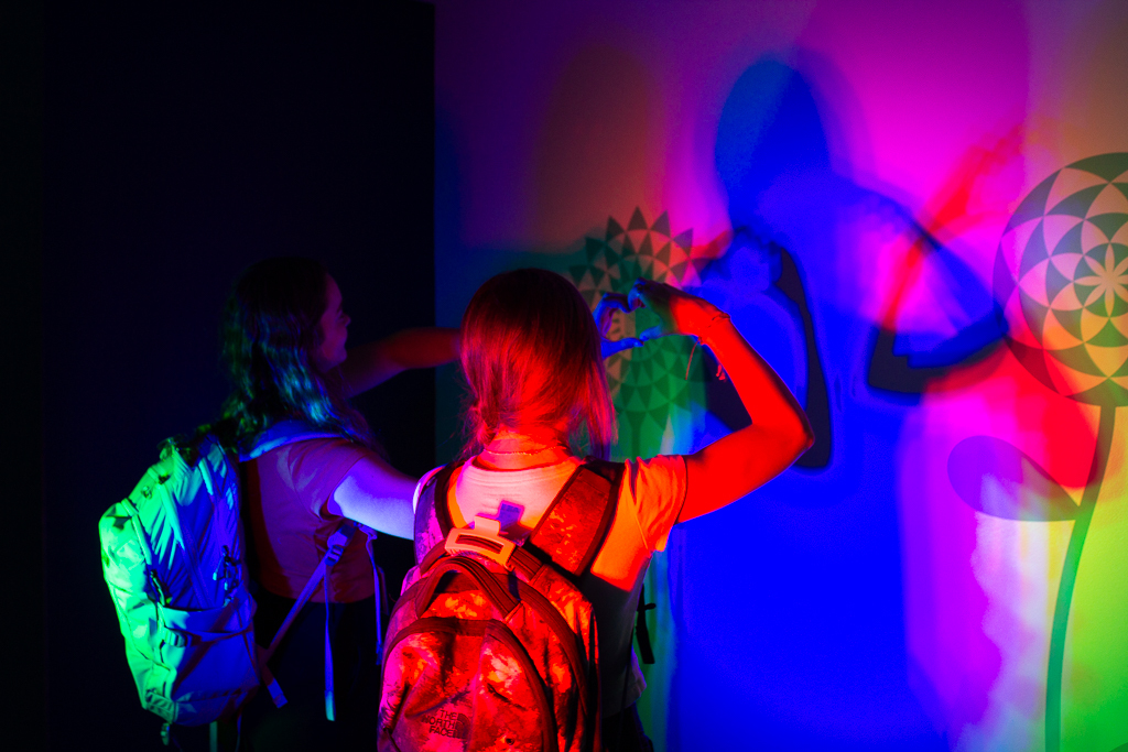 Wake Forest Summer Immersion: Psychology Institute photo 1