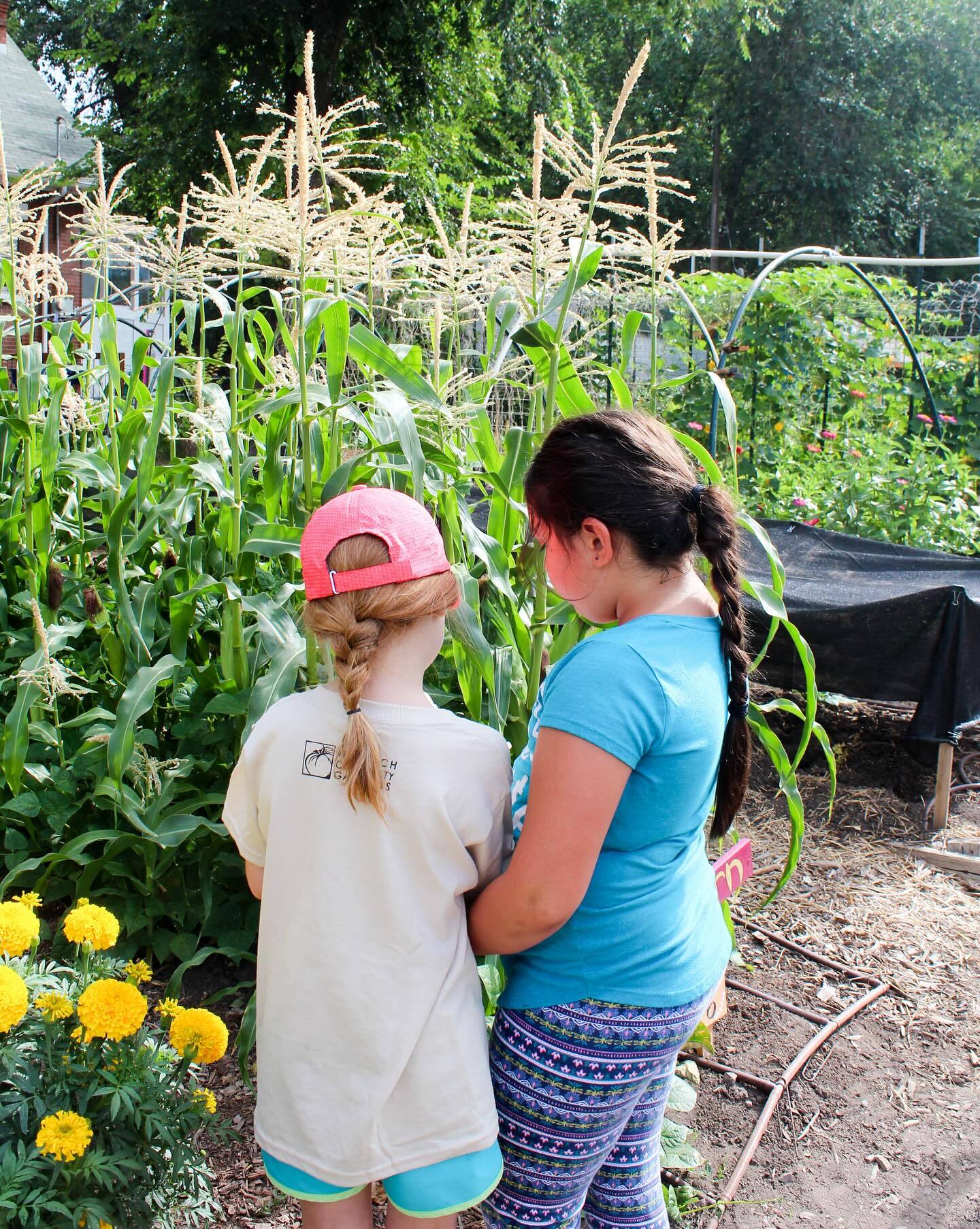 Wasatch Community Gardens Summer Camps photo 1
