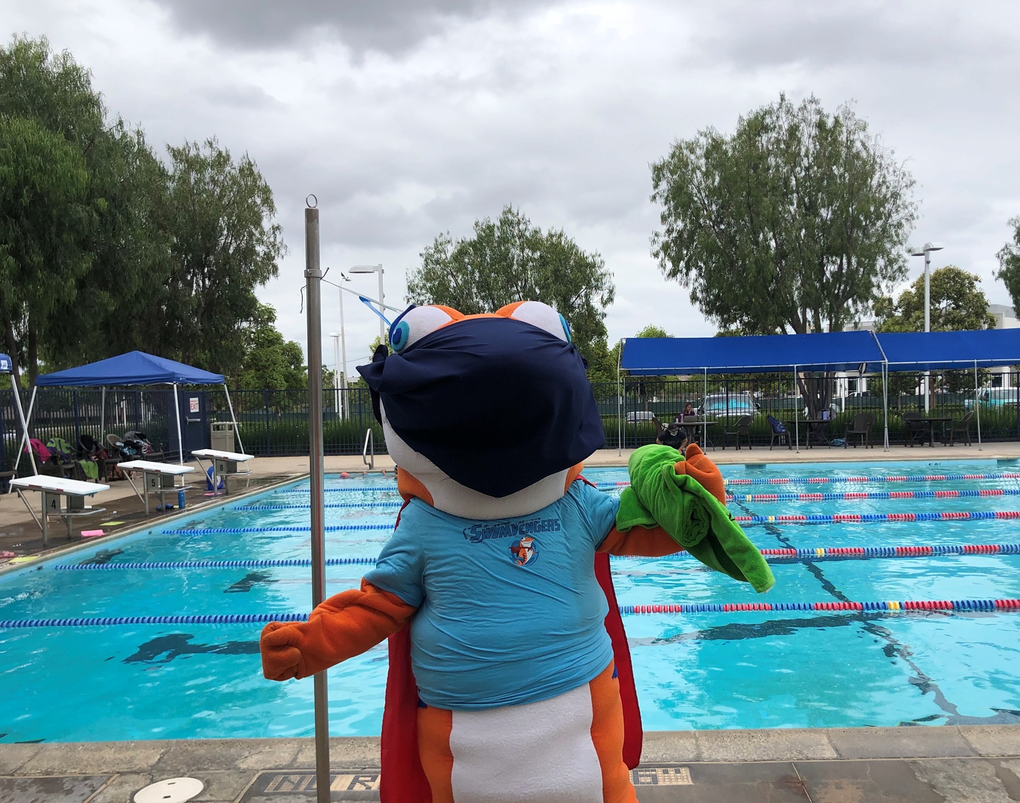 Waterworks Aquatics Summer Swim Camp