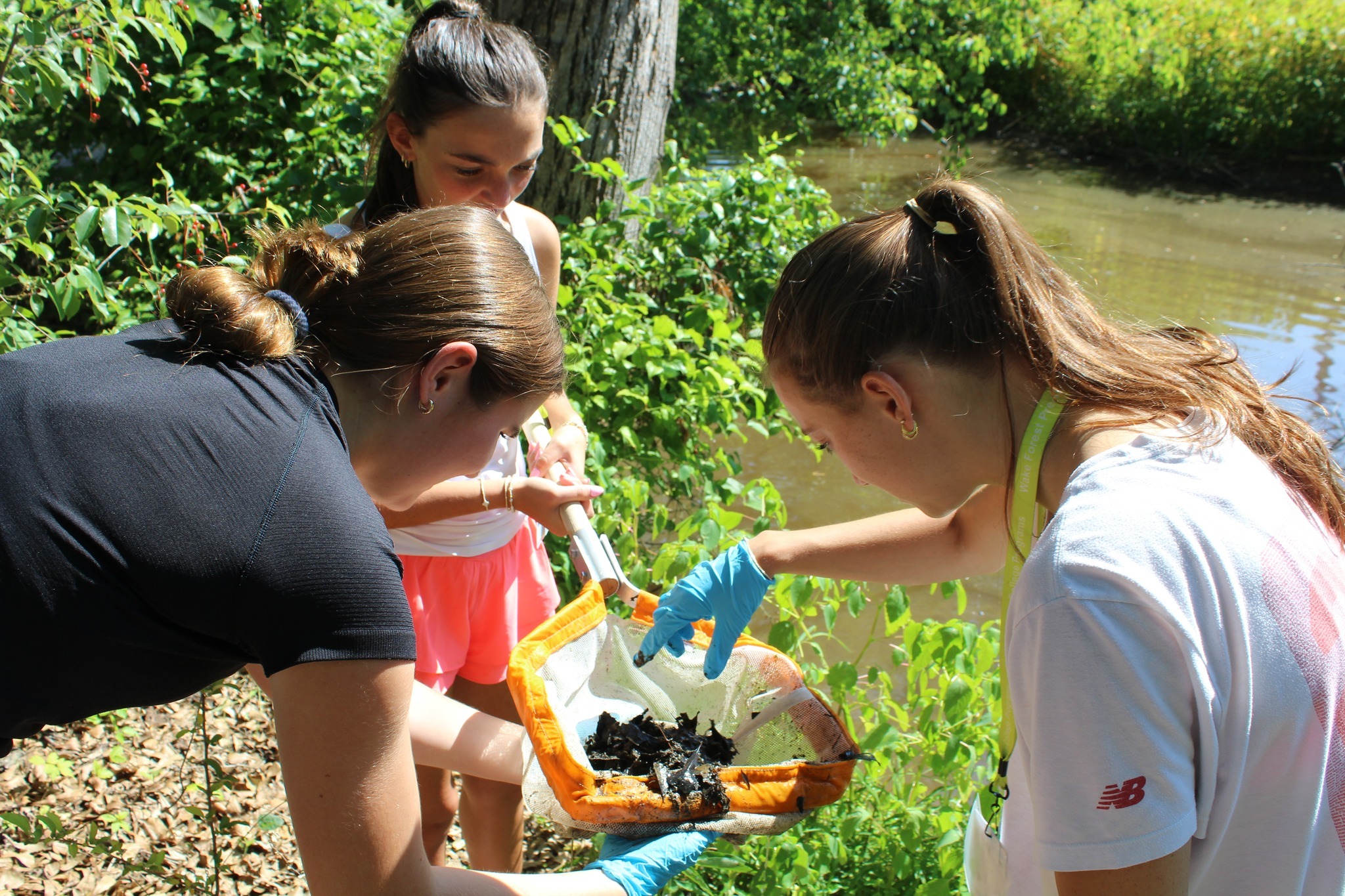 Terrific Scientific Summer Day Camps photo 1