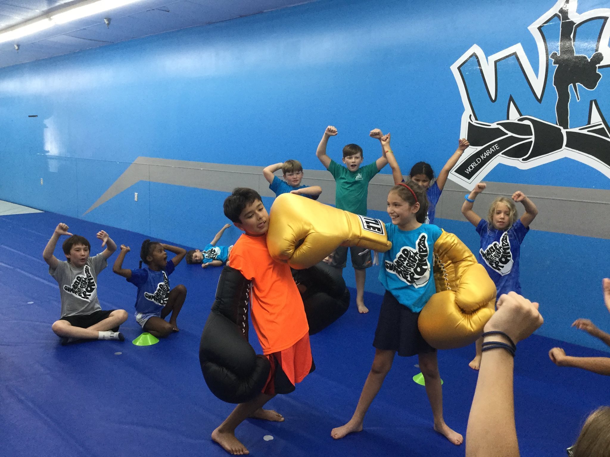 World Karate Tae Kwon Do Summer Camps photo 1