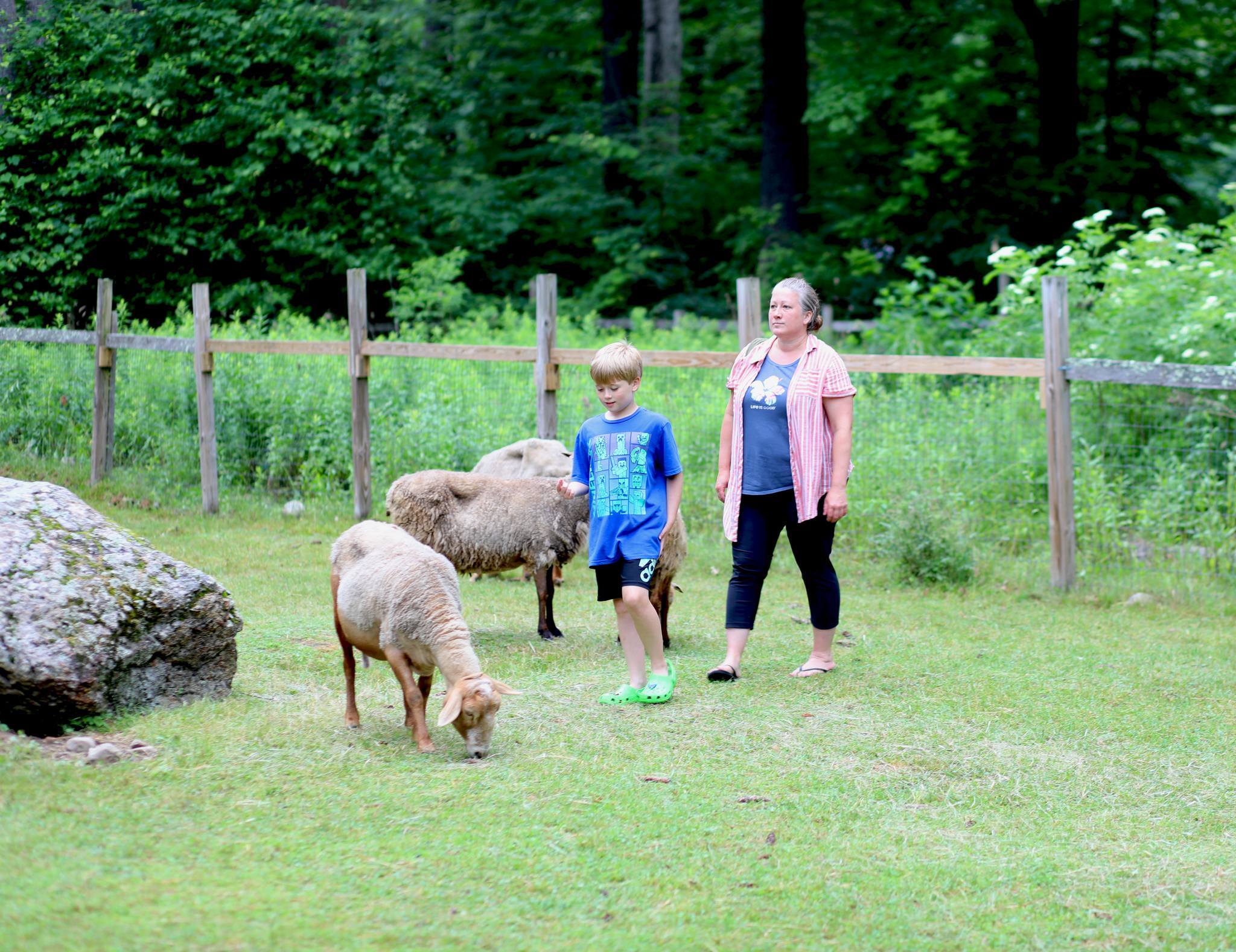 YMCA Camp Sargent photo 1