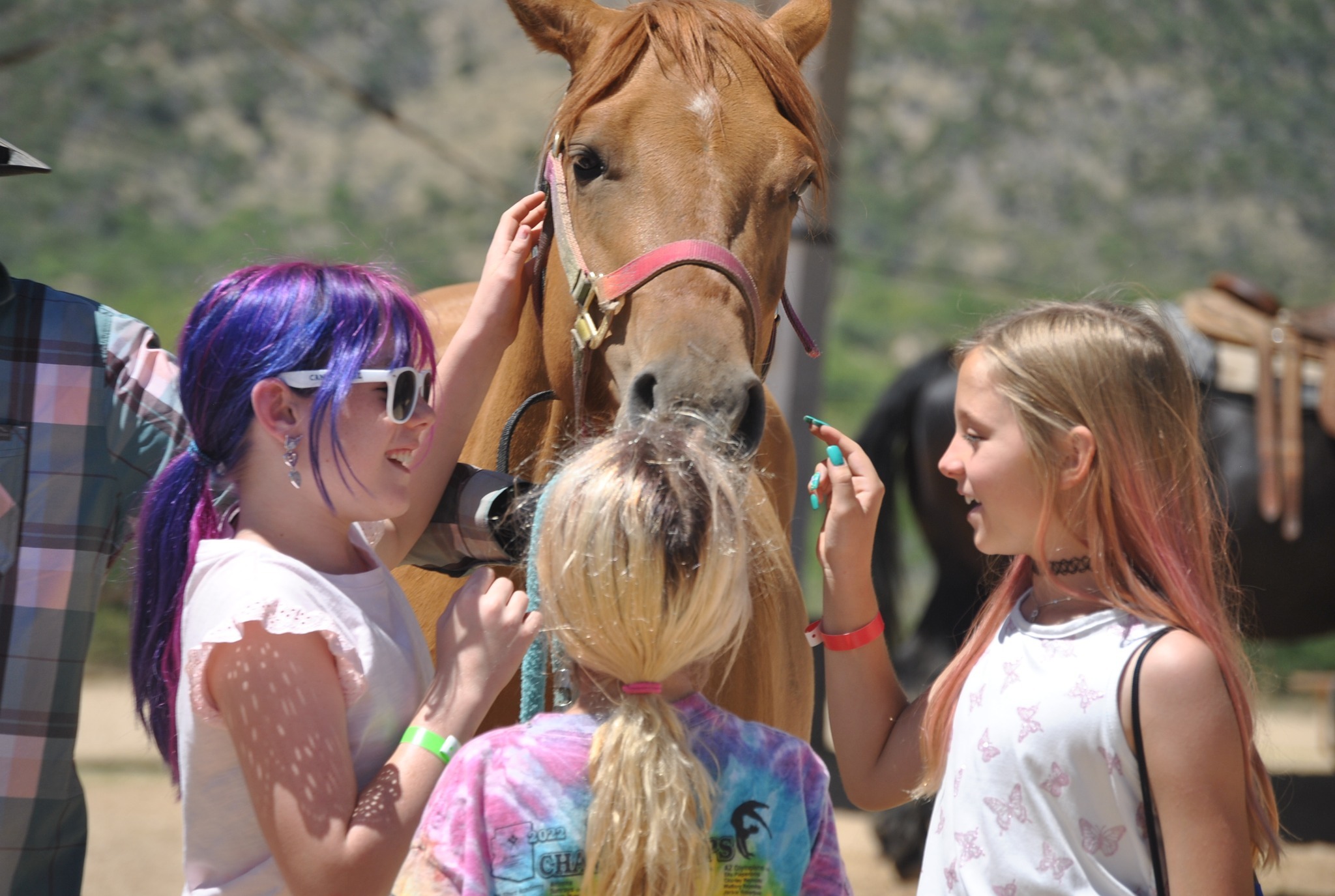 YMCA Triangle Y Ranch photo 1