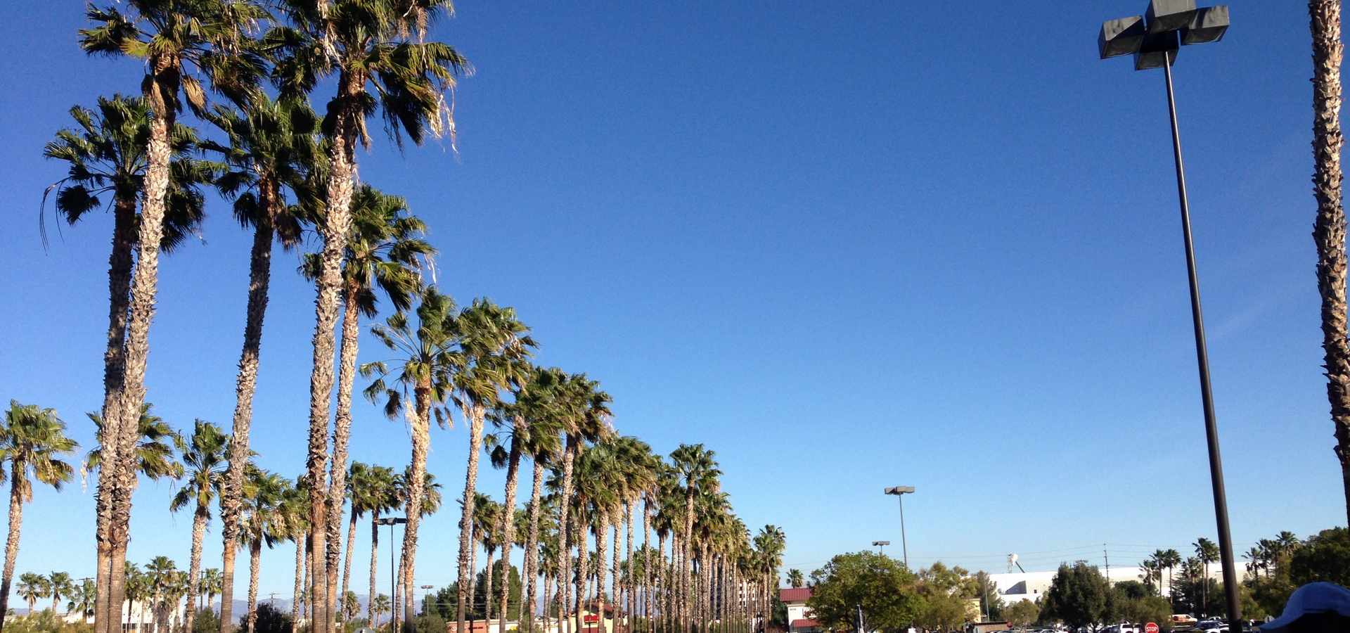 Chatsworth Soccer Camps