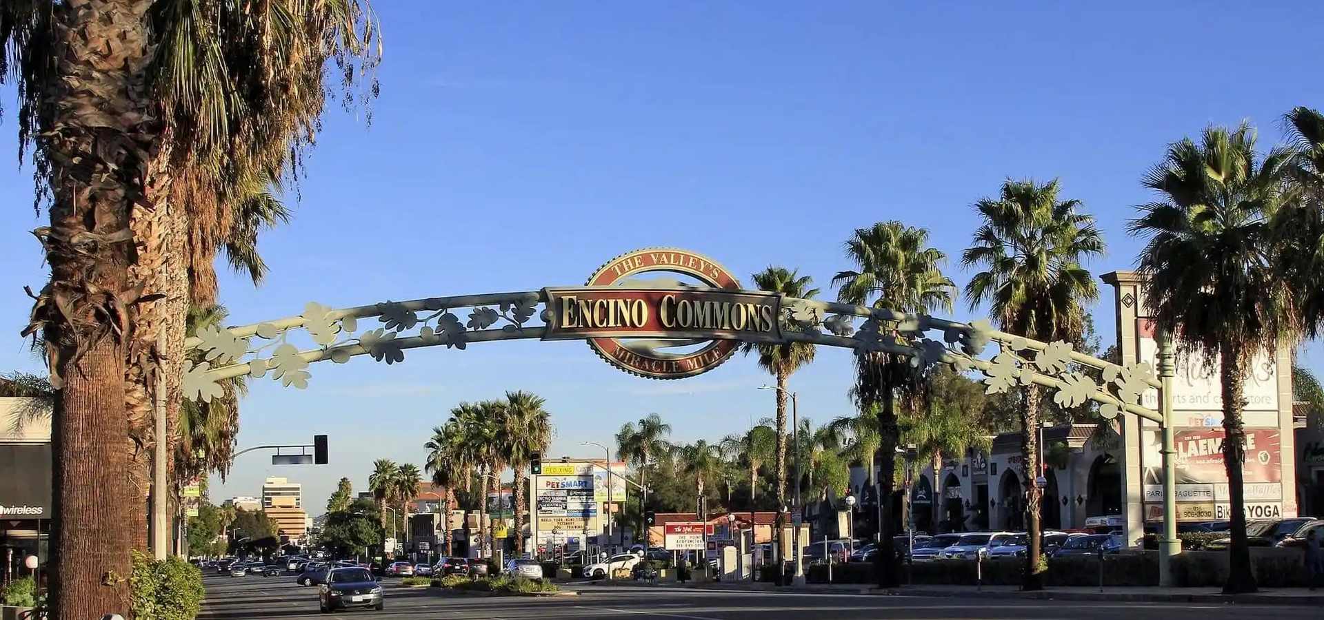 Encino, LA Forest Camps