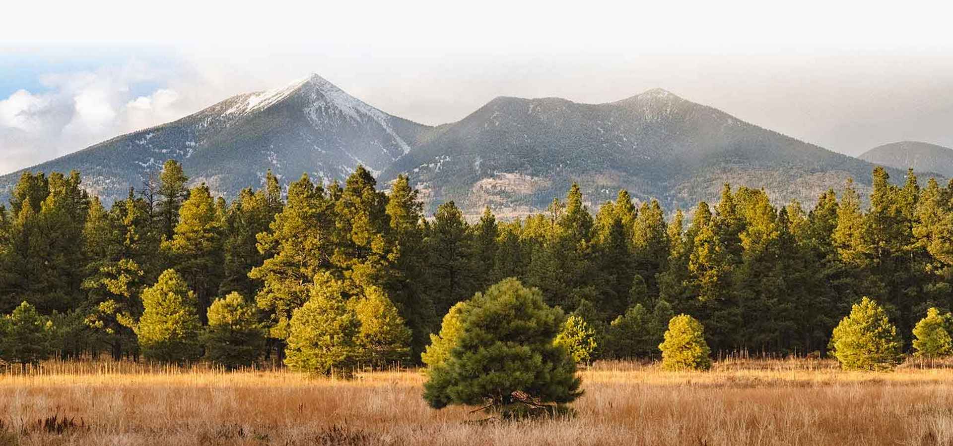 Flagstaff Summer Camps for 5-Year-Olds