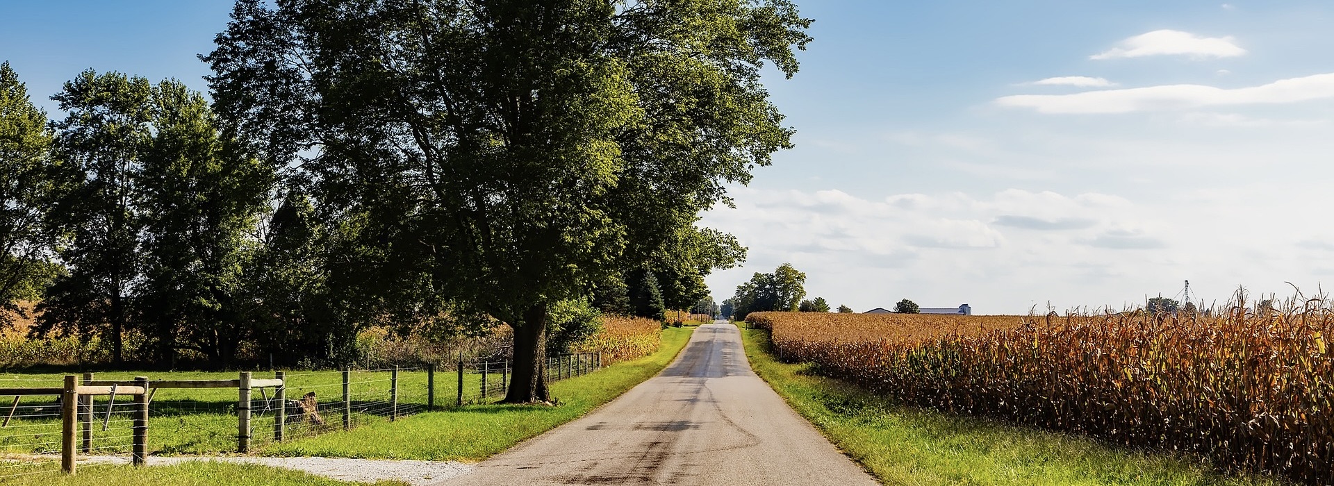 Summer Camps for 18-Year-Olds