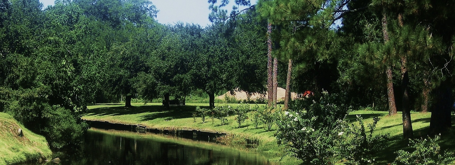 Summer Camps for 17-Year-Olds