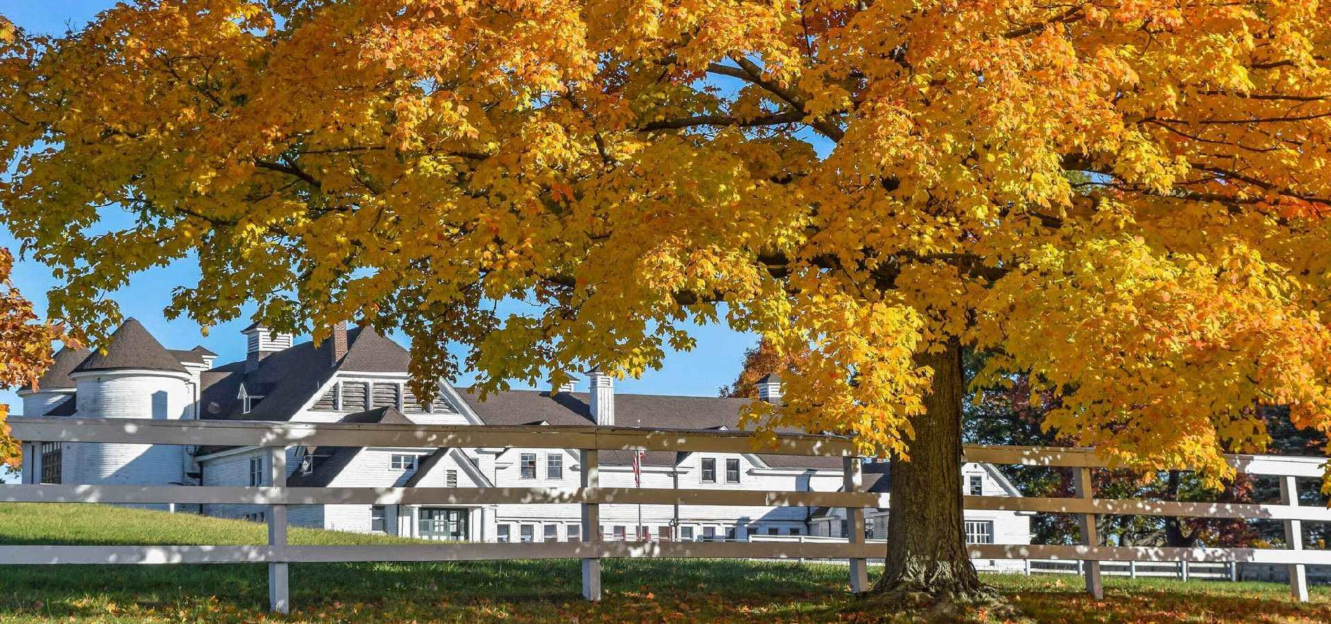 Suffield Soccer Camps