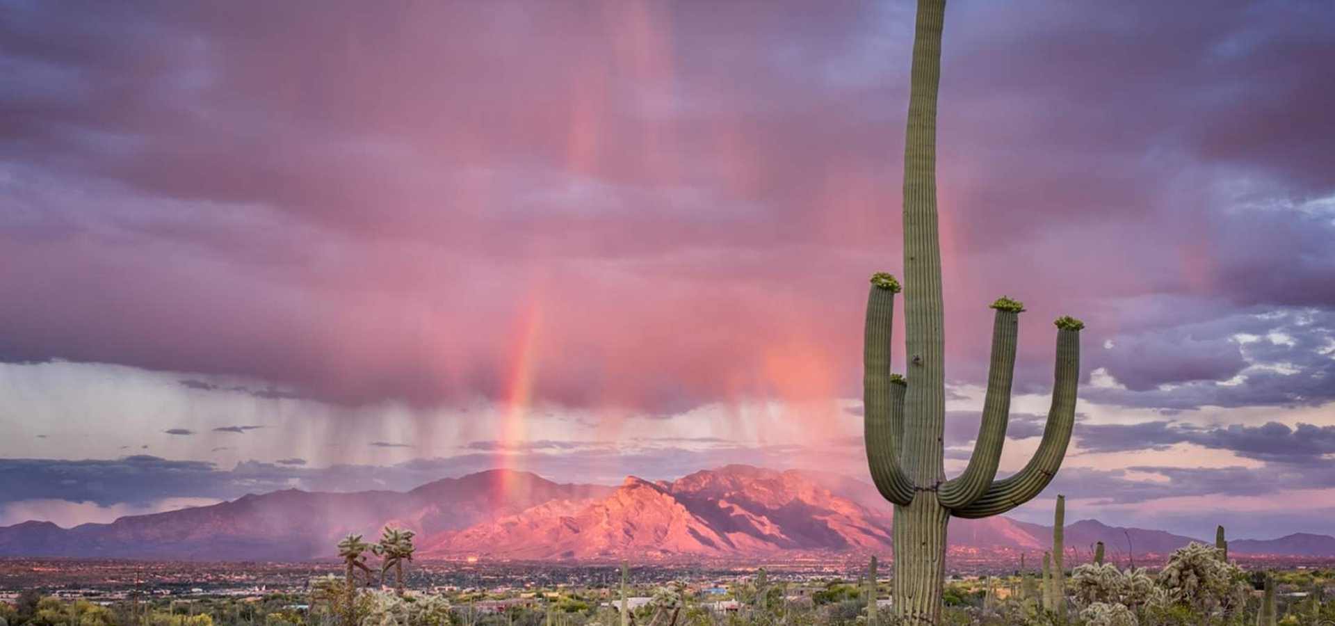 Tucson Summer Camps for 12-Year-Olds