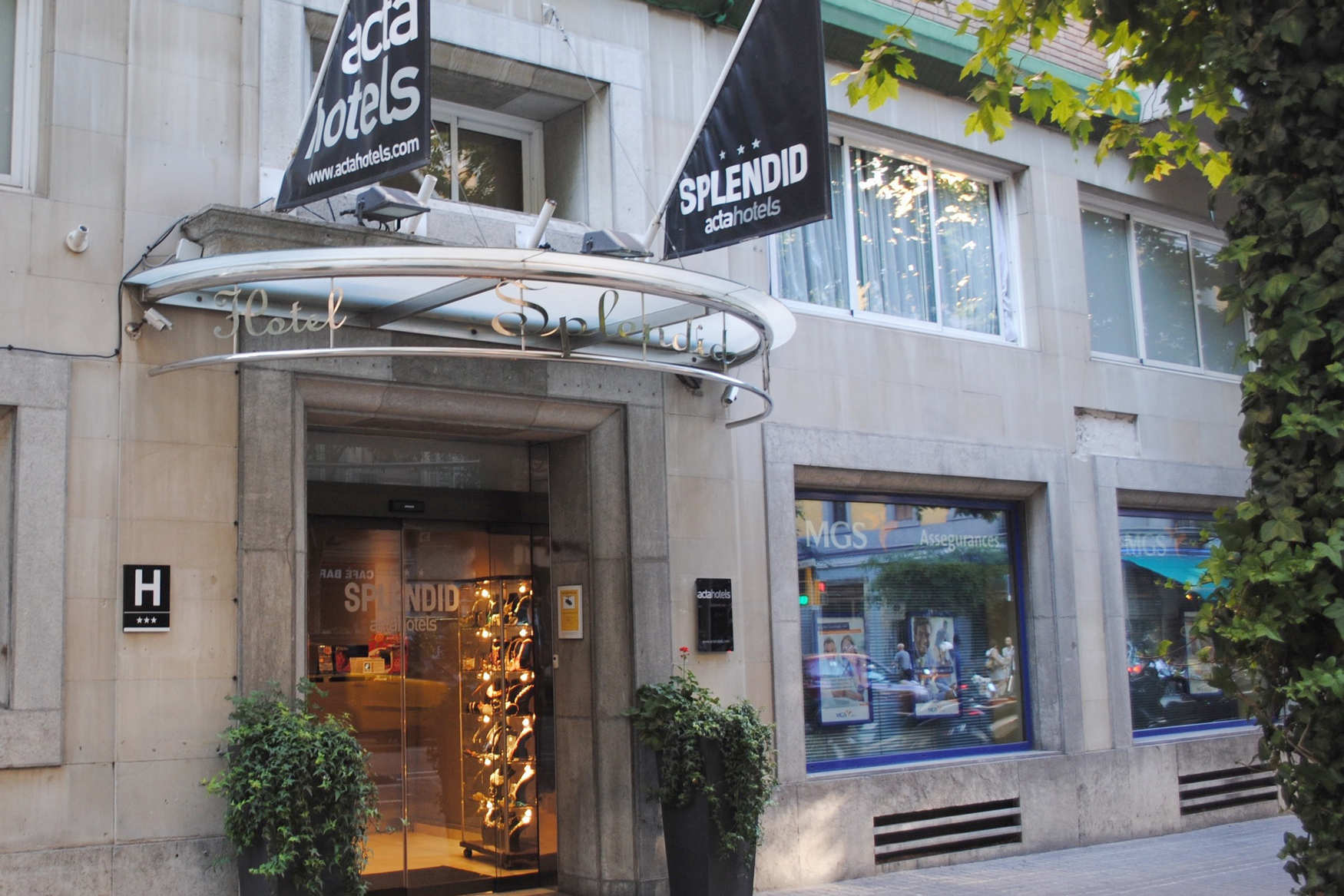 Acta Splendid photo 1