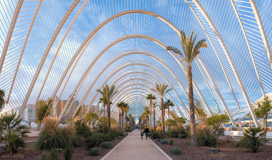 валенсия в августе: скажем жаркому лету adios photo 1