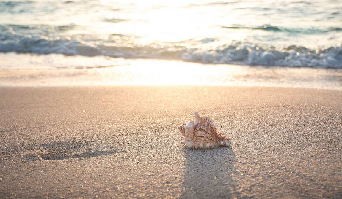 holidays with children in august {kidyear}: days full of summer photo 1