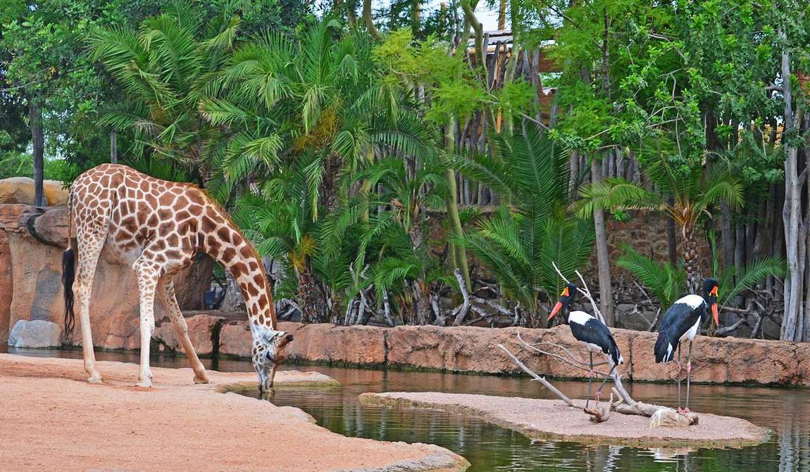 детские маршруты: валенсия photo 4