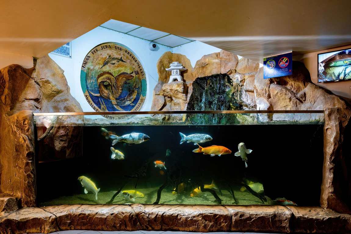 unique animal exhibits in austrian zoos photo 5