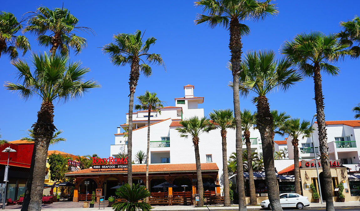 13 интересных фактов о тенерифе photo 1