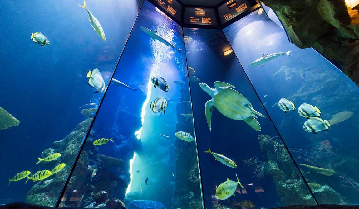 best places to visit in vienna with kids in 7 days: your itinerary photo 10