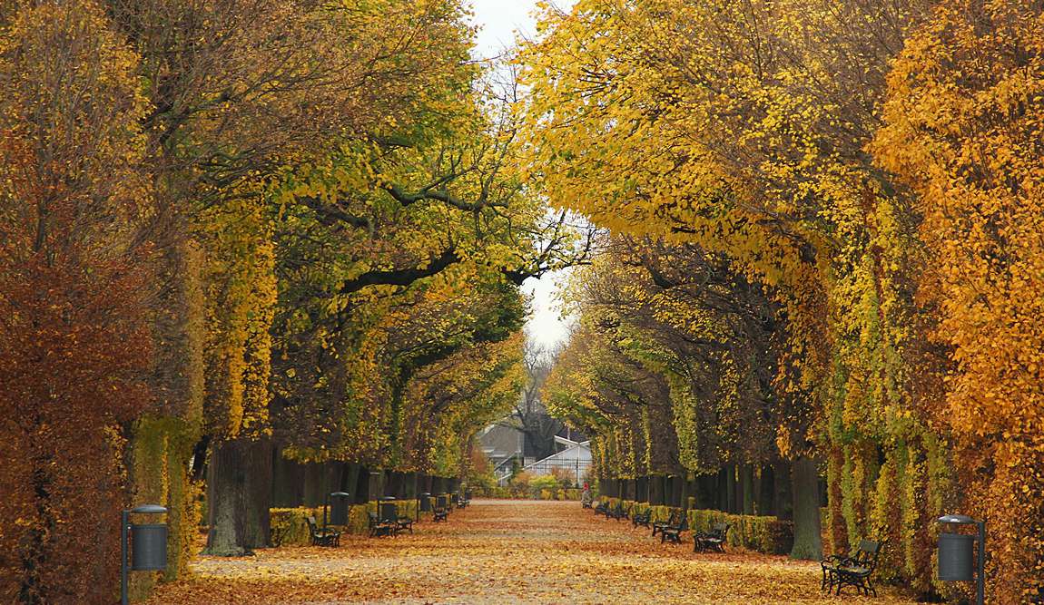 vienna in october photo 2