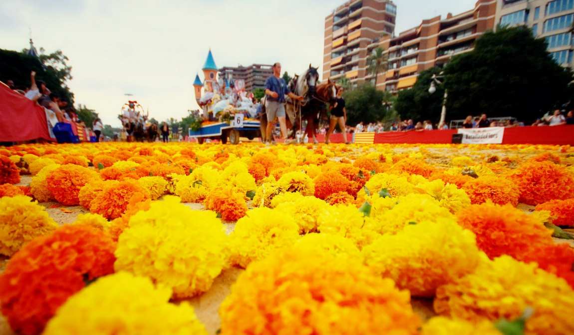 испания в июле: как полюбить сиесту photo 12