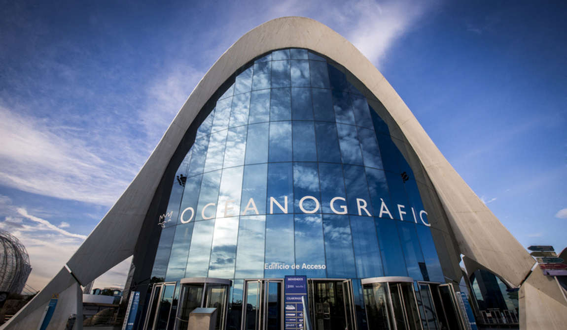 детские маршруты: валенсия photo 3