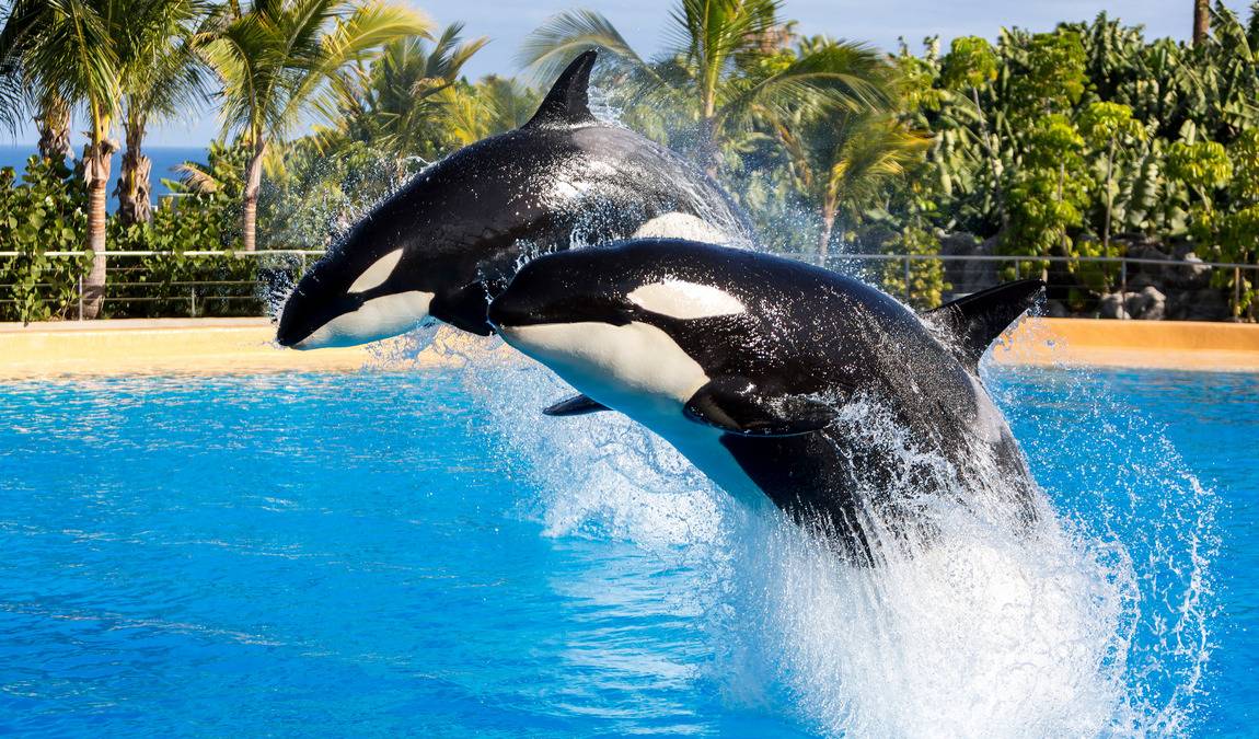 tenerife in november photo 4